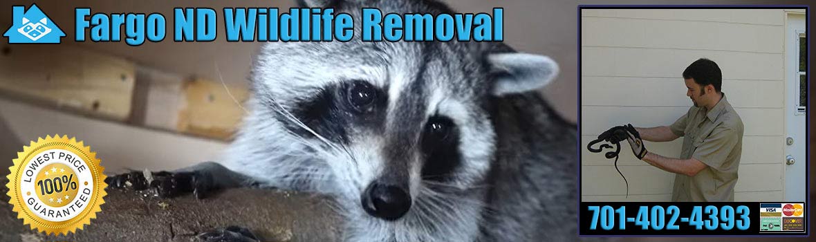 Fargo Wildlife and Animal Removal